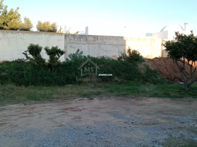 Un lot de terrain de 500 m² à Hammamet à vendre 51355351