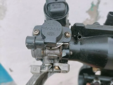 papillon clio bombe papillon clio bombe