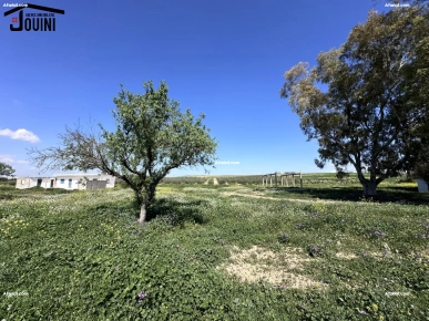 Ferme De 18 Hectares Sur La Route A Zaghouan