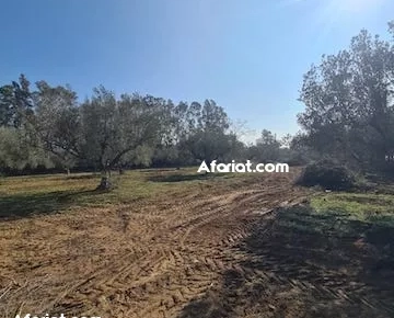 TERRAIN LOUMA V Birbouregba Hammamet T967