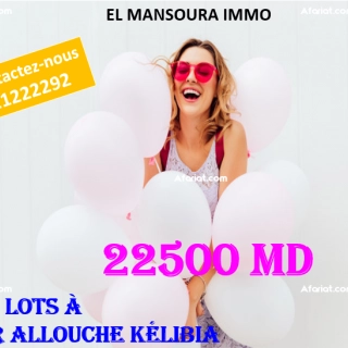 bon plan terrain vue mer à dar allouche kélibia bon plan terrain vue mer à dar allouche kélibia