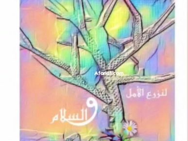 ديوان شعري دولي ديوان شعري دولي