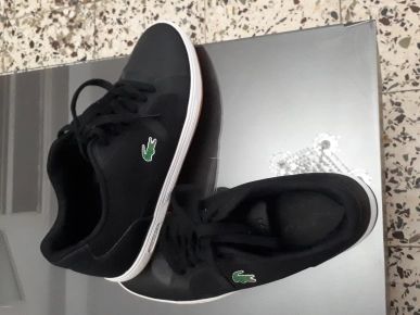 Chaussure lacoste