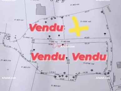 terrain Surface 2500m2 Titre route de phare Mgarssa terrain Surface 2500m2 Titre route de phare Mgarssa
