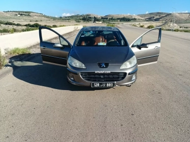 Peugot 407