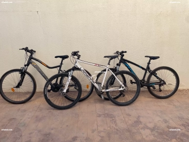 lot de 3 vélos tout terrain à vendre 600dt pièce ou lot 1600 dt