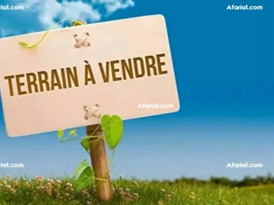 terrain agricole à vendre