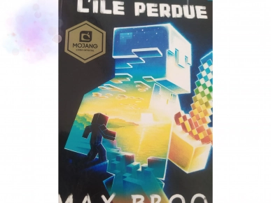 Livre Minecraft Livre Minecraft