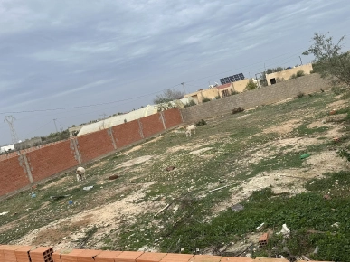 Opportunité d'investissement terrain 700 m2 Opportunité d'investissement terrain 700 m2