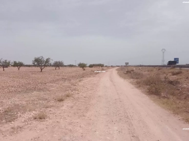 أرض فلاحية للبيع أرض فلاحية للبيع