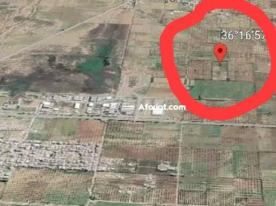 أرض 2000m,بوفيشة