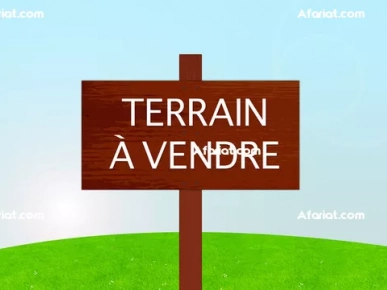 Terrain à vendre à route el ain km 17 sfax Terrain à vendre à route el ain km 17 sfax