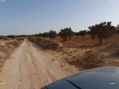TERRAIN 3 581M² A DJERBA EN  ZONE AGRICOLE & URBAINE 4175 EL MAY TERRAIN 3 581M² A DJERBA EN  ZONE AGRICOLE & URBAINE 4175 EL MAY