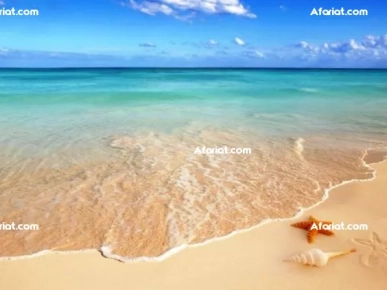 Villa FLEURISTE (Réf: V1193) Villa FLEURISTE (Réf: V1193)