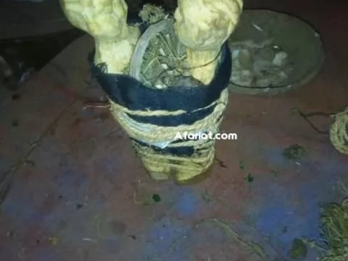 Rituel d’amour, Magie Banche Retour de l'Etre aimée EN 2 JOUR