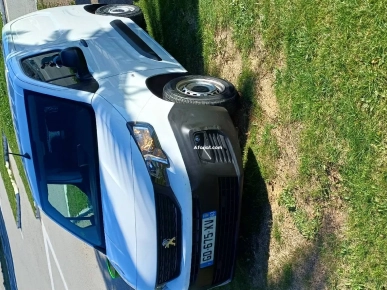 peugeot partner k9