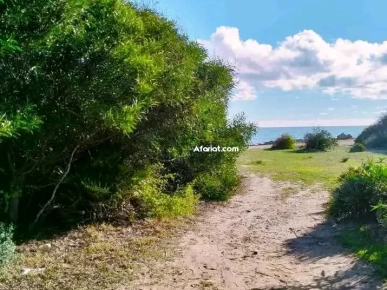 Villa haut standing à kerkouane Villa haut standing à kerkouane