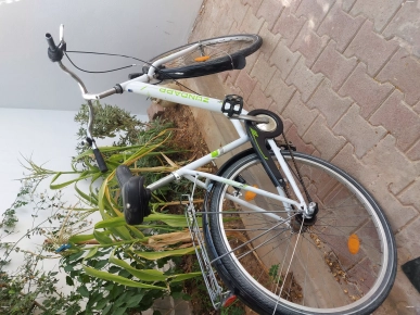 Miltiusage Miltiusage