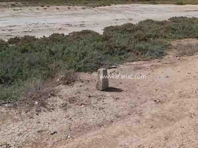 Terrain de 10 Hectares situé à la Z.I El mghira EST