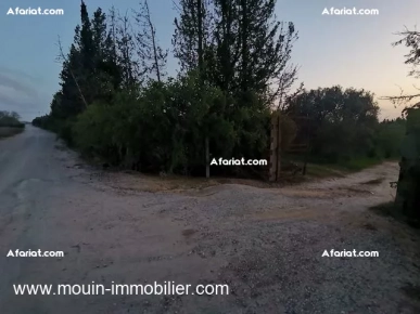 TERRAIN SIDRA 2 Borj Hfaiedh T1218