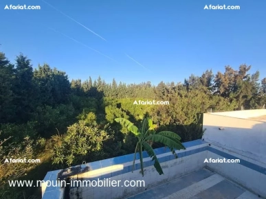 FERME ASIL Beni Ouiel Hammamet T1206