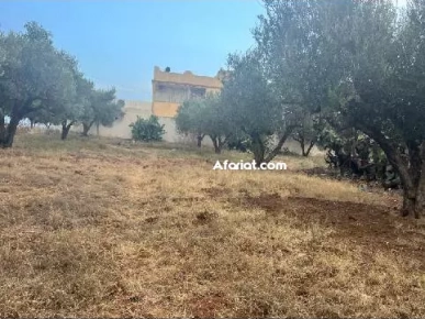 قطعة أرض للبيع