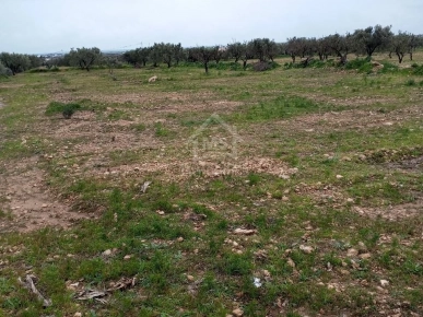 Terrain de 2700 m² à Hammamet Sud à vendre à 200 MD 51355351