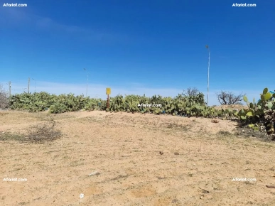 Deux Terrains à Route El-AIn KM 12 Sfax