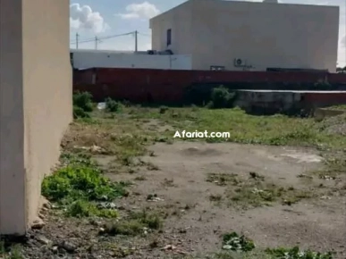 terrain deux ème position de la mer