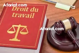 Formation Droit Public