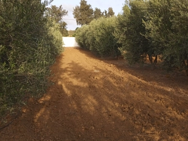 vend terrain agricole vend terrain agricole