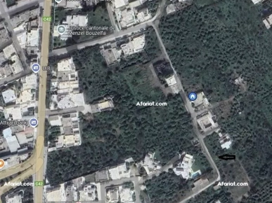 Terrain à Menzel bouzelfa Terrain à Menzel bouzelfa