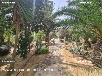 DAR L'OLIVIER AL120 Hammamet zone theatre
