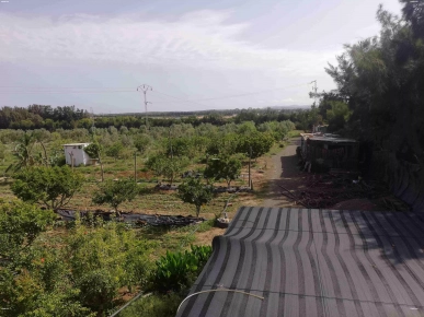 ferme / sénia à El AZIB ferme / sénia à El AZIB