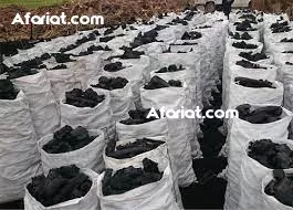 Charbon olivier en vente Charbon olivier en vente