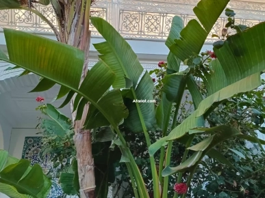 OFFRE A SAISIR: À LOUER ÉTAGE DE VILLA D’UNE MAGNIFIQUE DEMEURE
