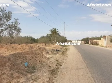 TERRAIN 2 658 M² SUR ROUTE EL MAY 4175 DJERBA - TIYANIST