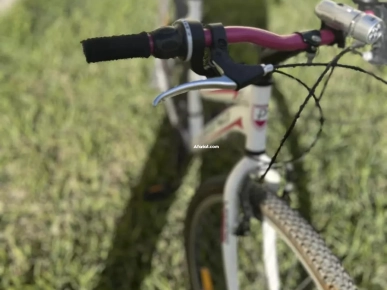 Vélo pour adulte