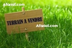 Terrain à vendre : Ksour Gharnatta Terrain à vendre : Ksour Gharnatta