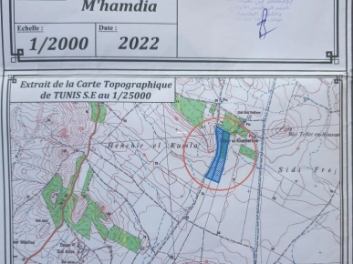 Lot de 2hectares a 199000dt le hectare a ben arous Lot de 2hectares a 199000dt le hectare a ben arous