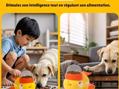 SmartDuck - Distributeur de friandises interactif