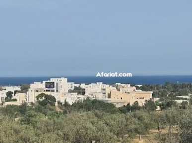 TERRAIN LORA Hammamet Nord T1031