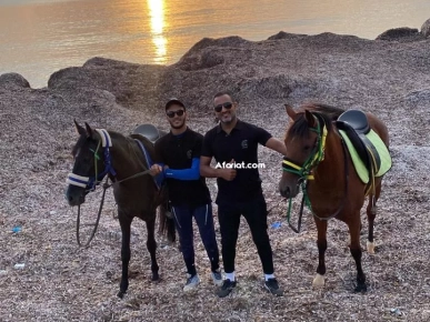 Équitation et balade forêt ou plages