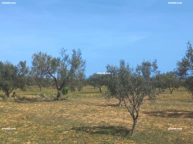 Terrain à vendre avec vue de mer panoramique