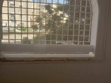 Appartement  Idéal pour le confort et le bien-être !