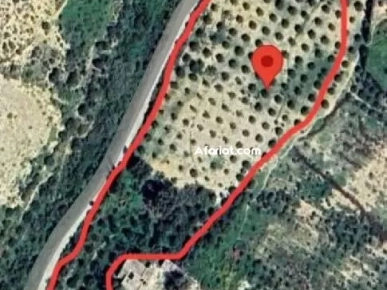 قطع أرض للبيع قطع أرض للبيع