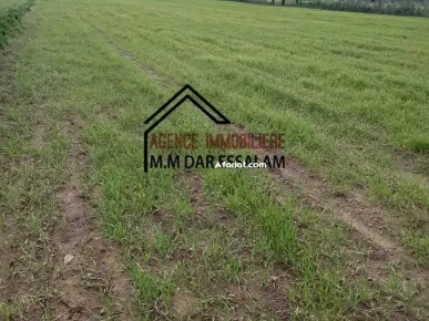 terrain près de la mer