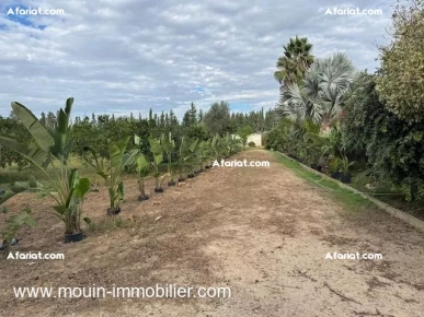 FERME BENI KHALLED 2 Beni Khalled T1225