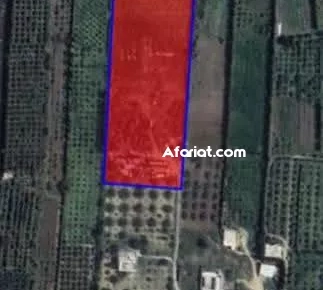 Ferme à Menzel Bouzelfa Ferme à Menzel Bouzelfa