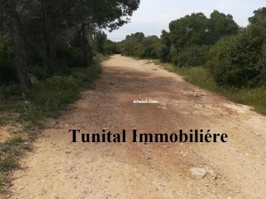 La marsa jbal khaoui  A vendre terrain vue panoramique